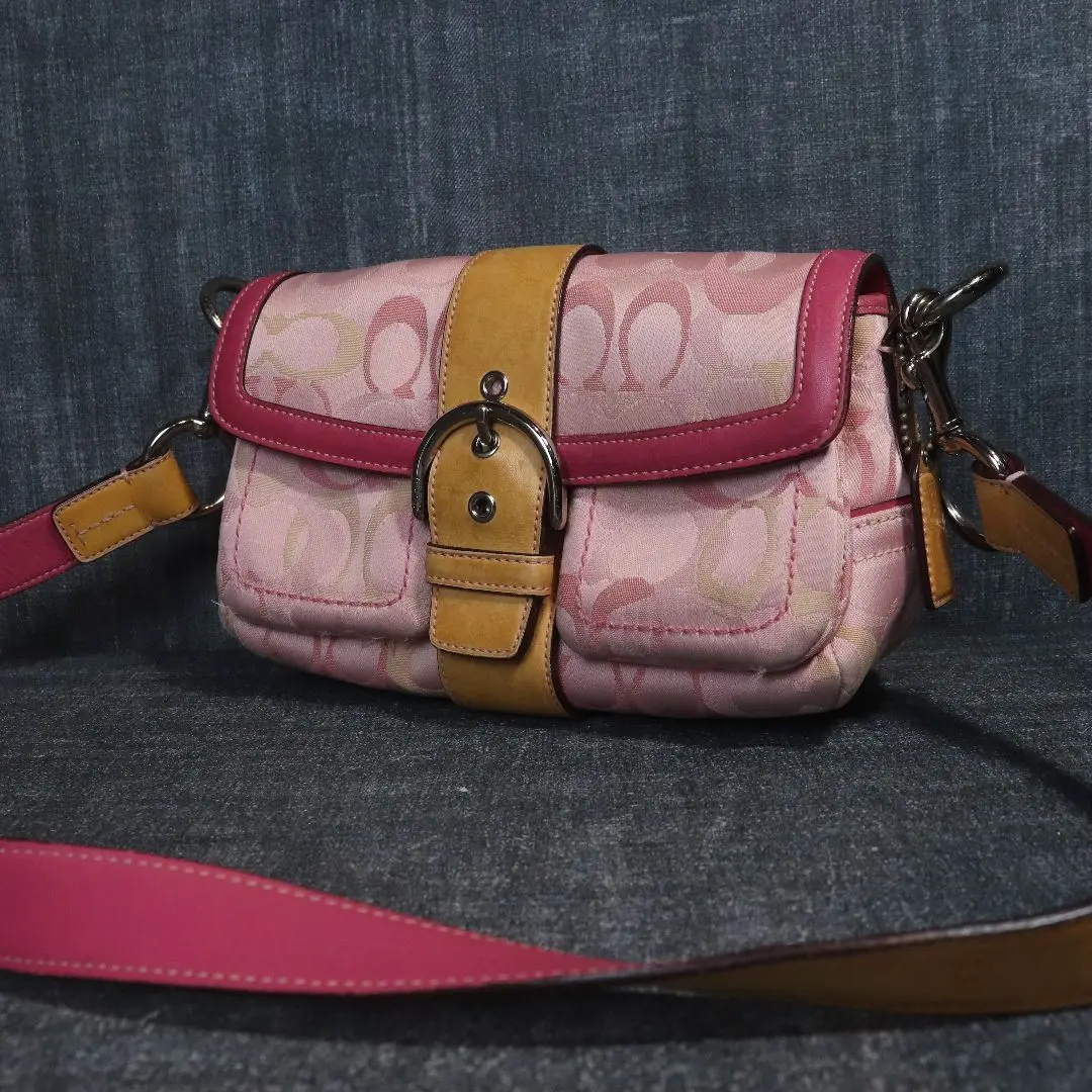 2025年最新】coach 1854の人気アイテム - メルカリ