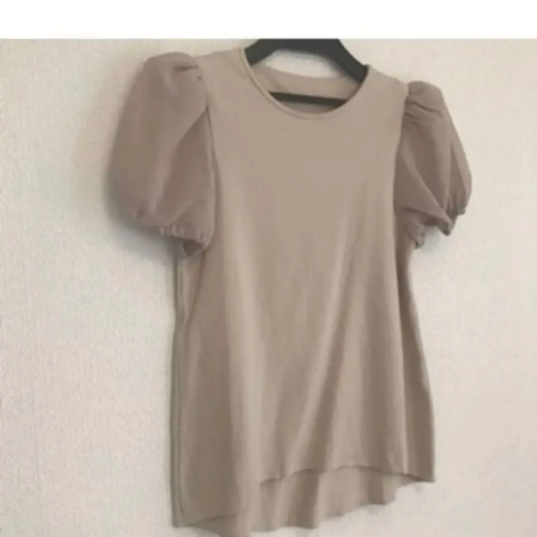 2025年最新】デイジーリンフォクシー レディース 半袖(Tシャツ
