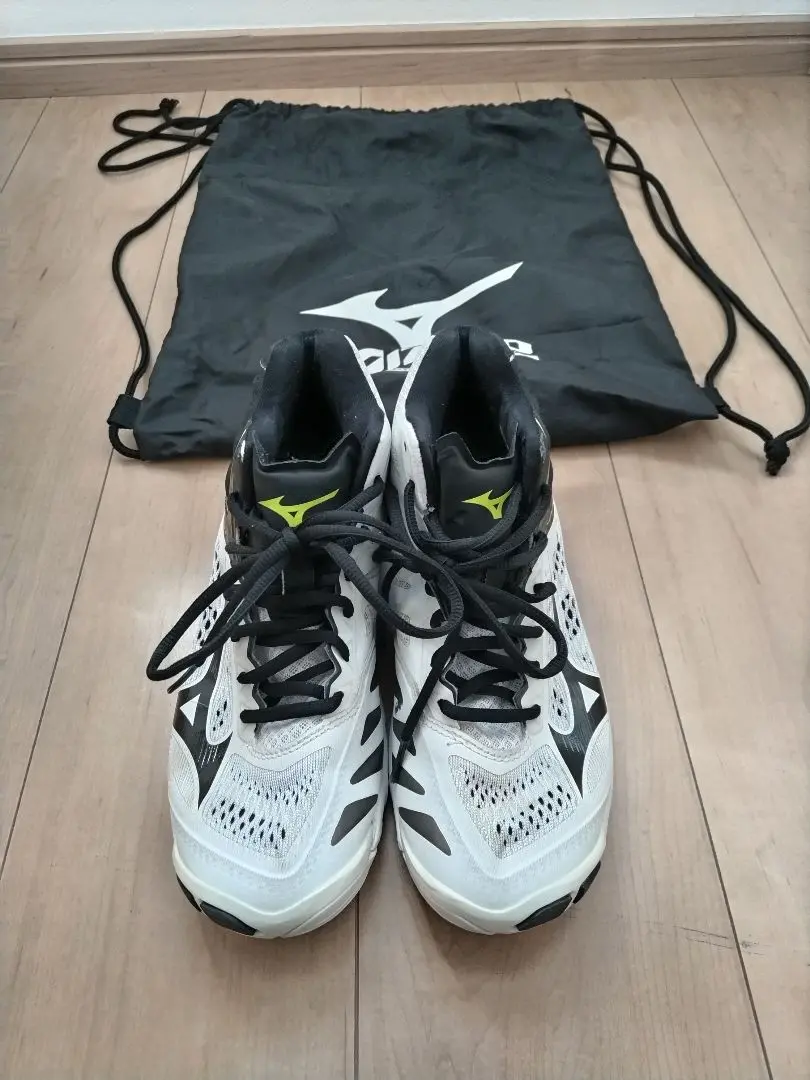 2025年最新】ミズノ mizuno ウエーブライトニングz5の人気