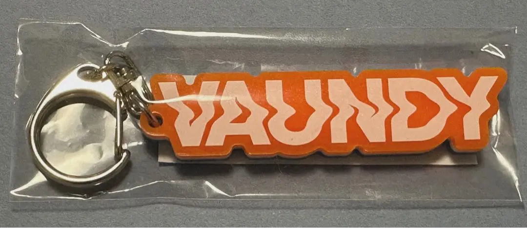 2025年最新】VAUNDy キーホルダー londonの人気アイテム - メルカリ