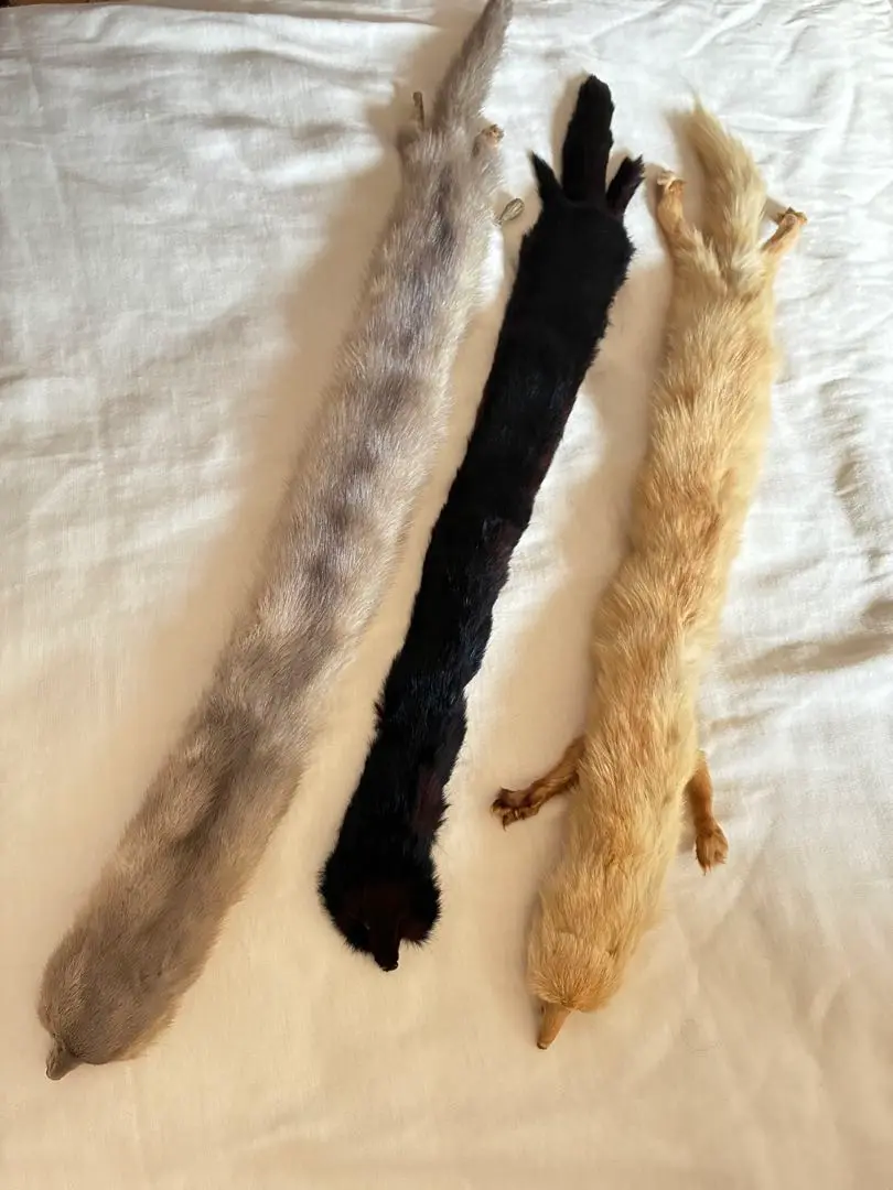 動物の毛皮マフラー てんの毛皮のマフラー