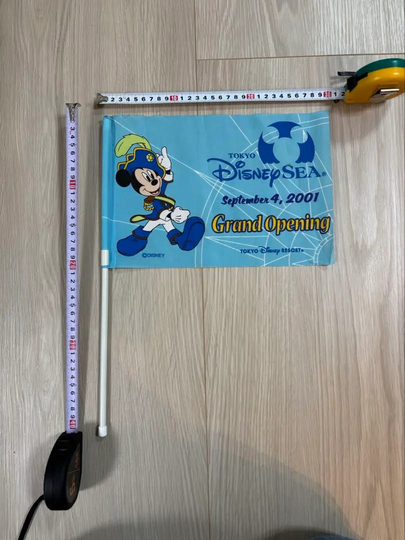 green rose 東京ディズニーランド　グランドオープン　ポスター ディズニーランド グランドオープンポスター