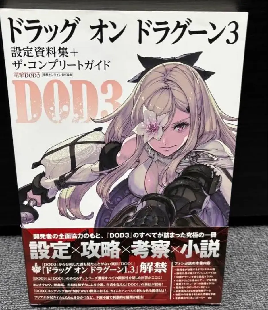 2025年最新】ドラッグ オン ドラグーン3 設定資料集+ザ