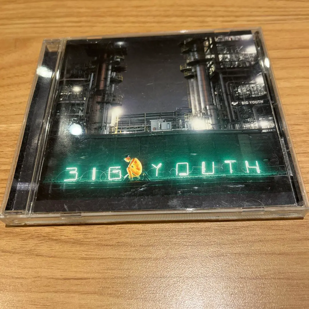 邦楽 BIG YOUTH INSTRUMENTAL / ECD ECD/BIG YOUTH [instrumental] アナログ