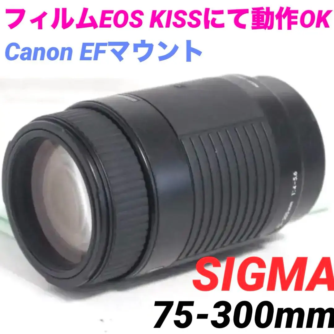 2025年最新】レンズ sigma 75-300mm 4-5.6の人気アイテム - メルカリ