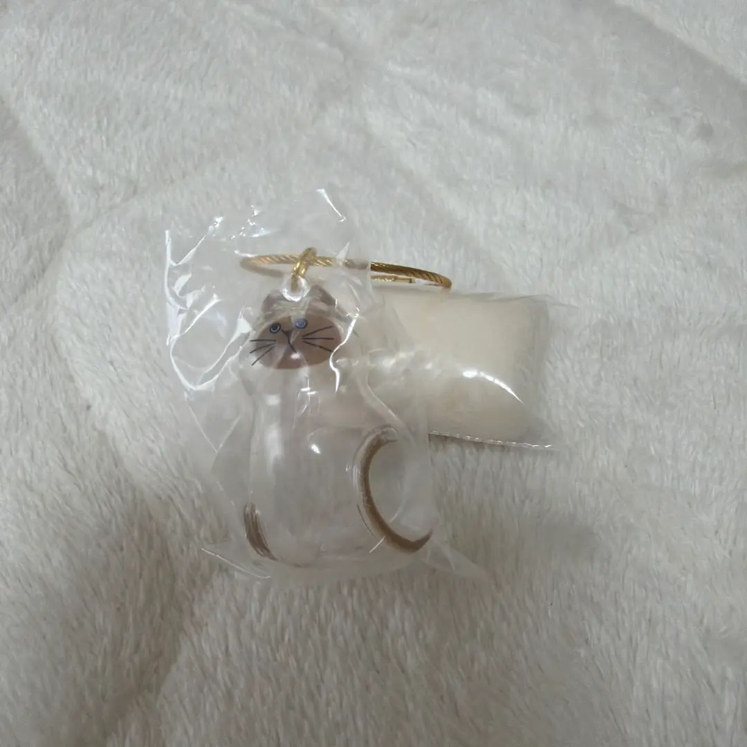 Thumbnail of My child's fluffy ball of fur: Siamese