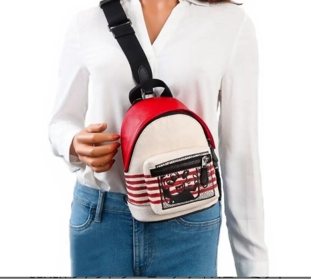 美品 COACH コーチ キースヘリング コラボ リュック シグネチャー レザー COACH キースヘリング コラボ リュック F50057｜Yahoo!フリマ