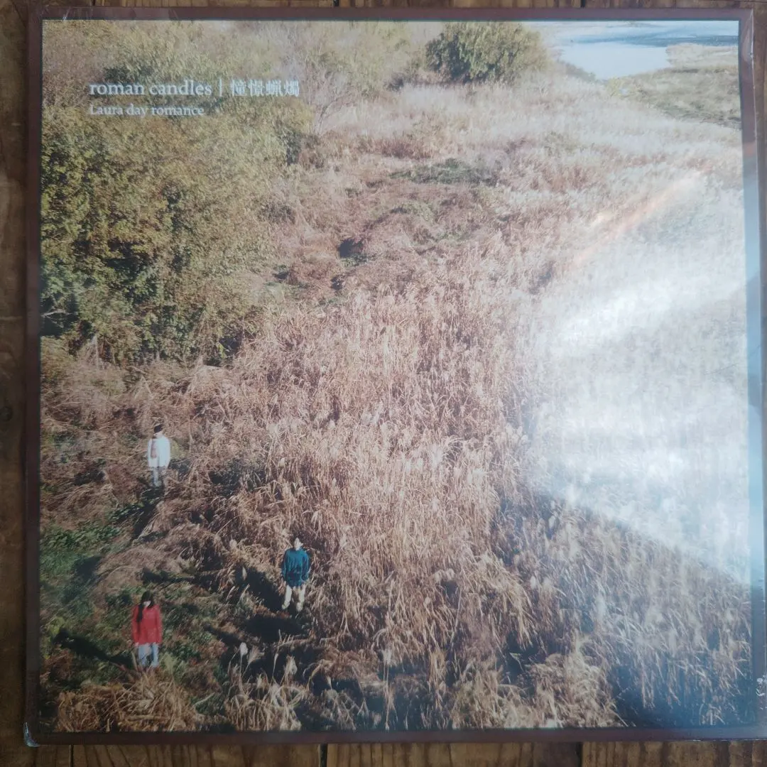 Laura day romance roman candles レコード 2025年最新】Laura day romance レコードの人気アイテム - メルカリ