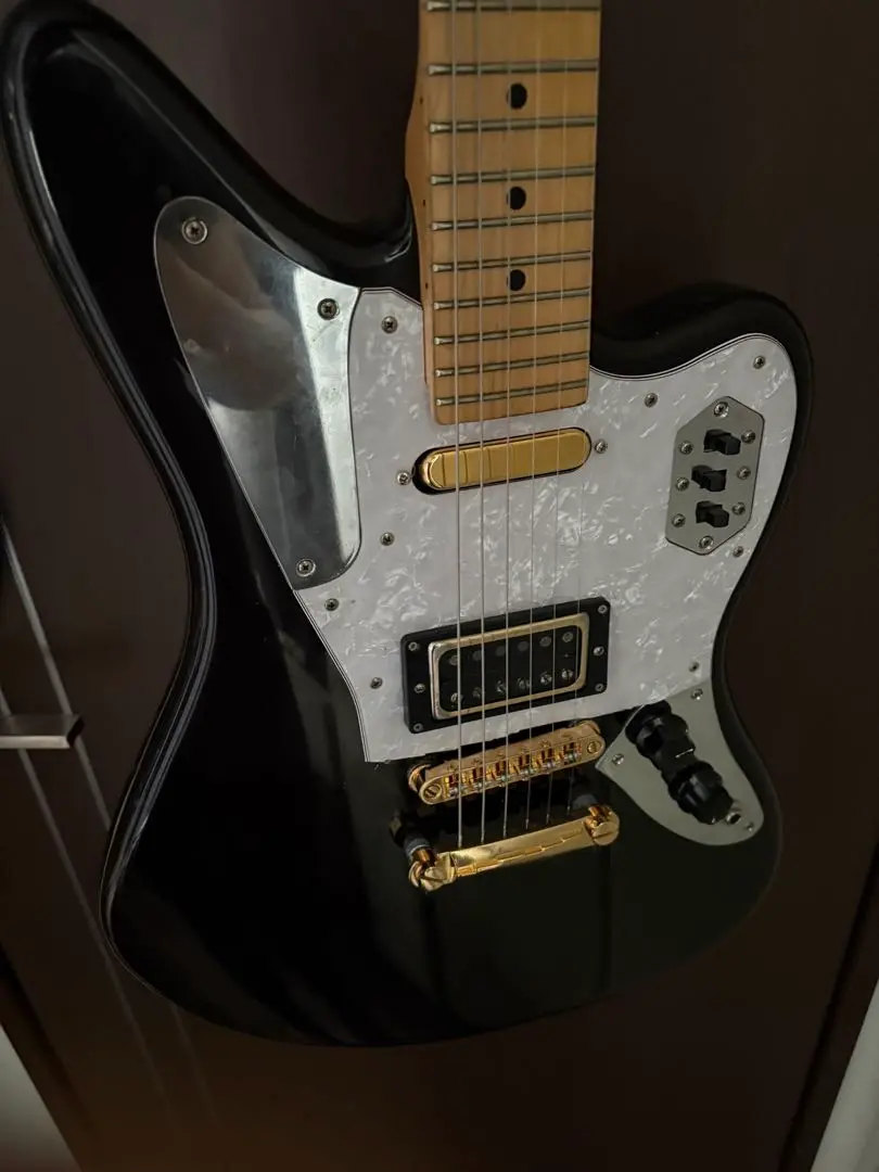schecter c-5 custom ジャンク扱い　自作ピックガード 5弦 ホットセール schecter c-5 メルカリ - 5弦 自作ピックガード