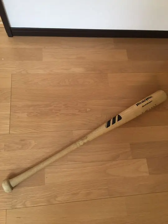 新品 未開封】元阪神タイガース 桧山進次郎選手 硬式木製バッド