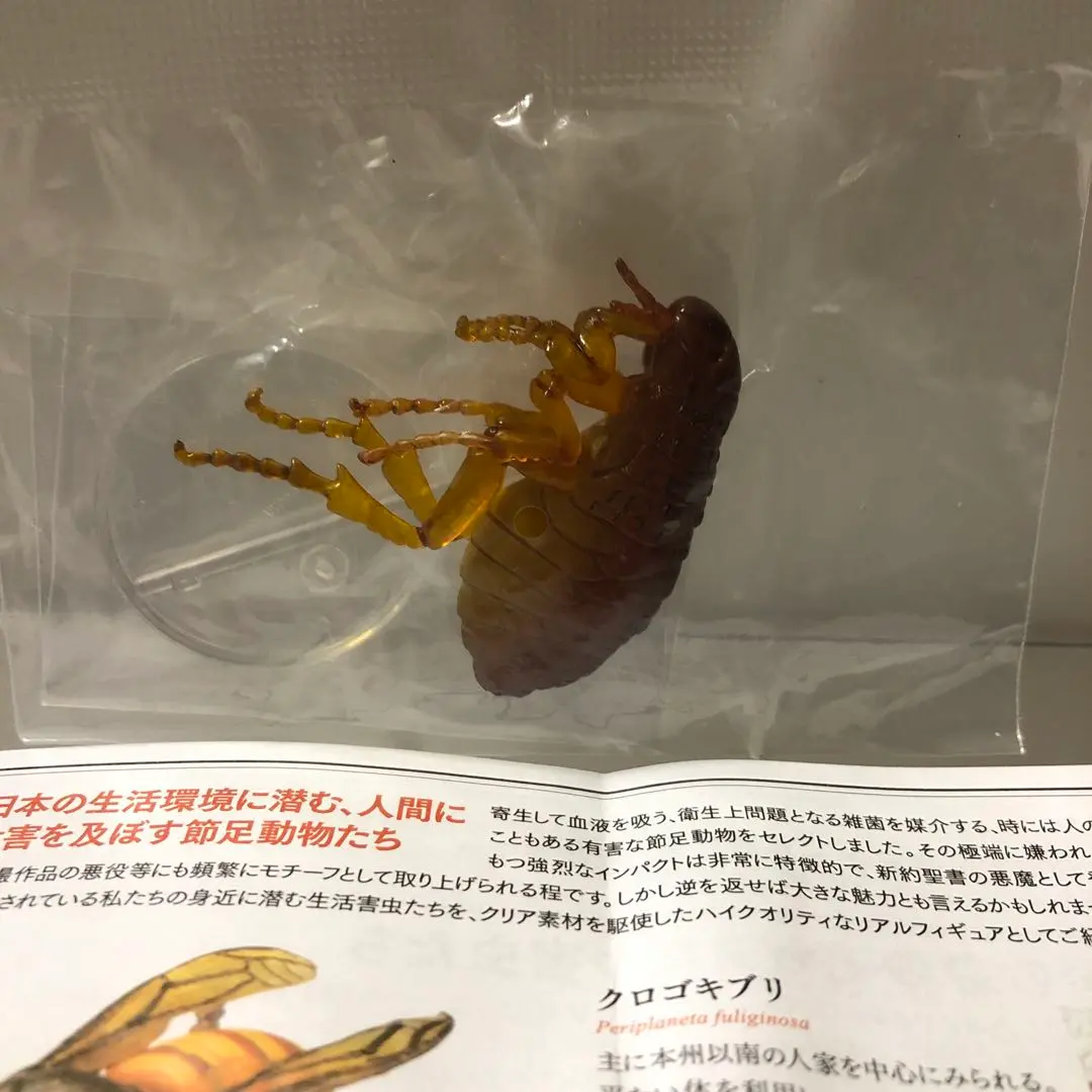 衛生害虫博覧会 衛生害虫博覧会～身近に潜む生活害虫～ 全5種/1回300円