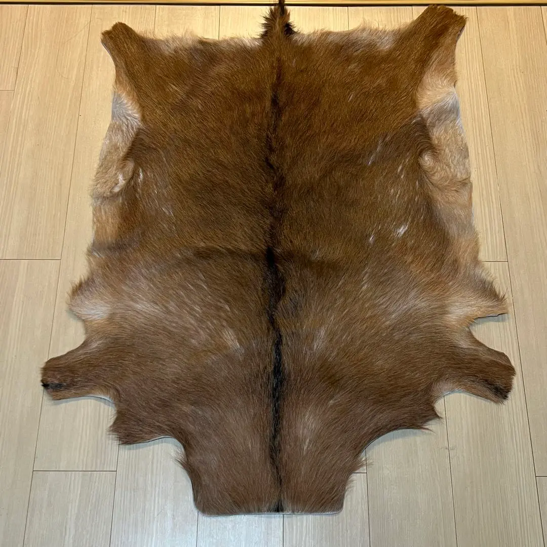 ヤギ　毛皮　ラグ　約70×90cm　ウサギの毛皮 管理番号3 2025年最新】ヤギ 毛皮 ラグの人気アイテム - メルカリ