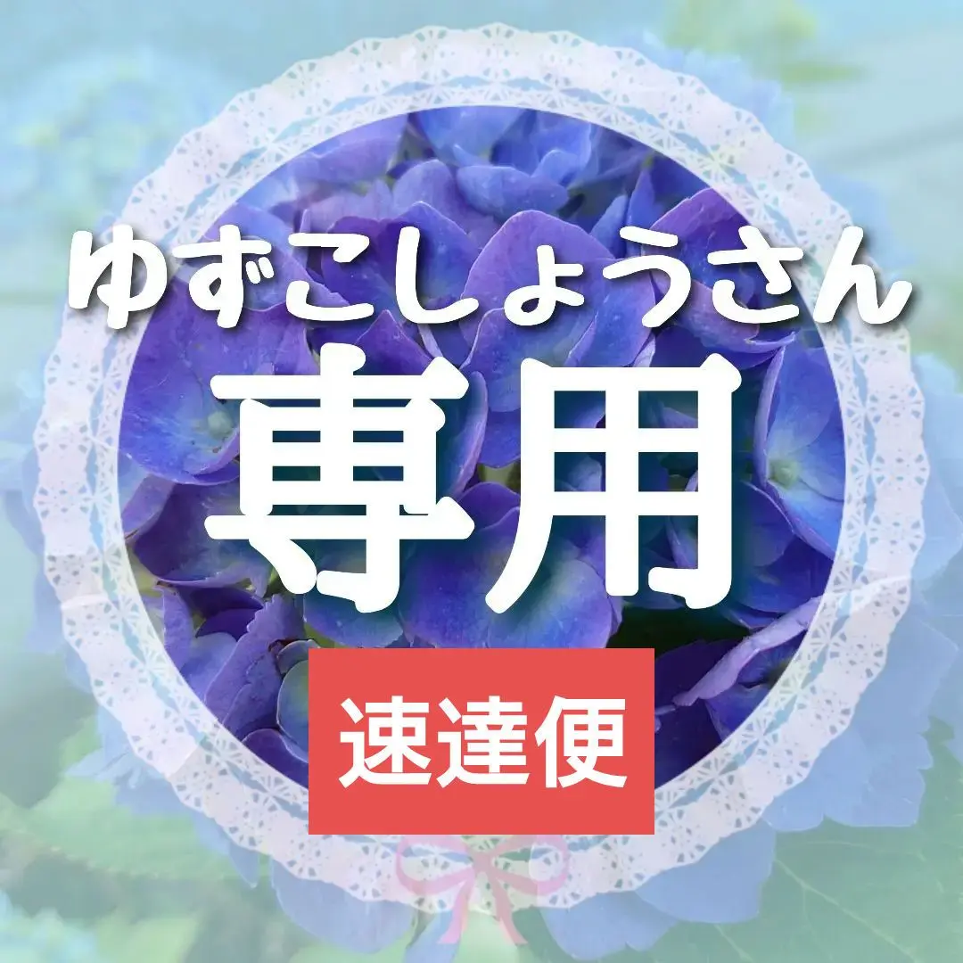 【きらりさん専用】アジサイ「タイニーガール」赤仕立てと青仕立てまとめて 楽天市場】【数量限定】紫陽花 あじさい タイニーガール 赤 4.5