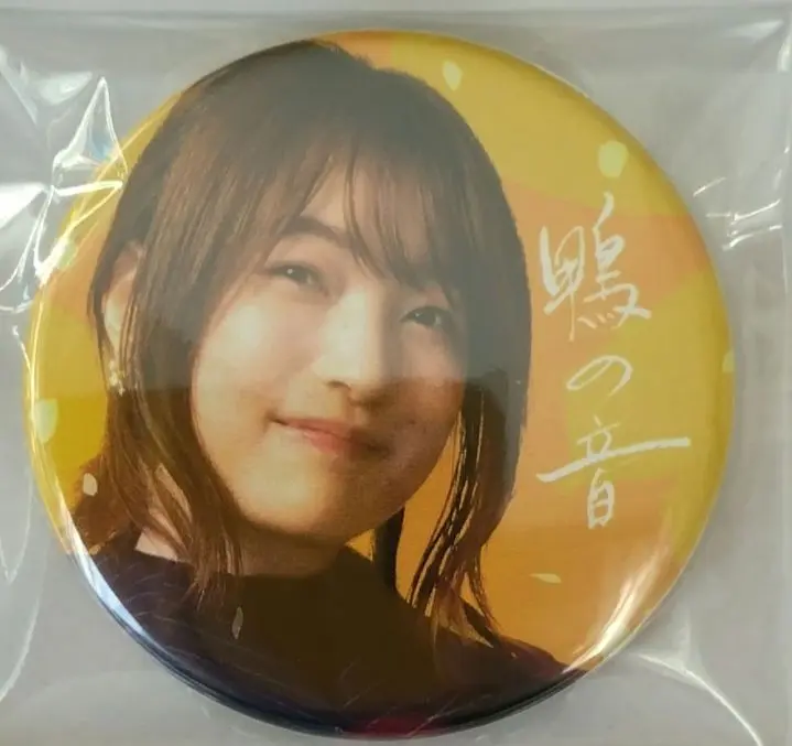 上田麗奈 鴨の音 グッズ フルセット クリアファイル ブロマイド 缶バッジ 上田麗奈 鴨の音 グッズ フルセット クリアファイル ブロマイド