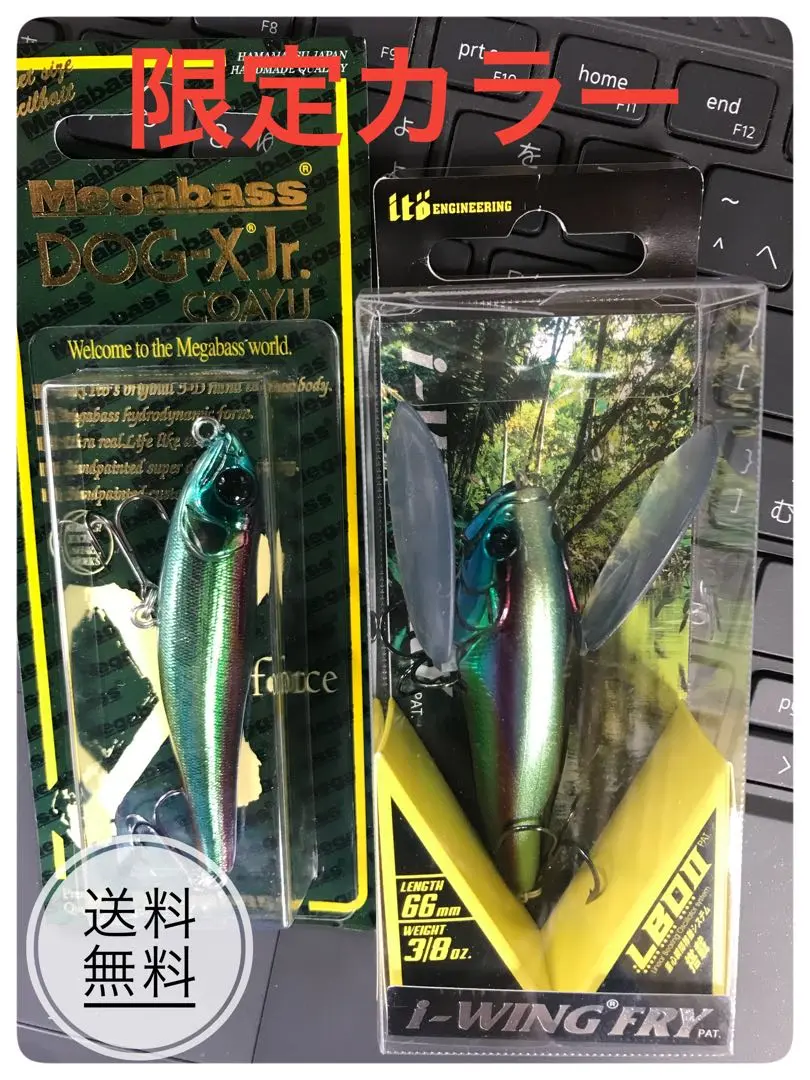 メガバス ito シグレ 限定 SP-C ヤマトタマムシ 新品未開封