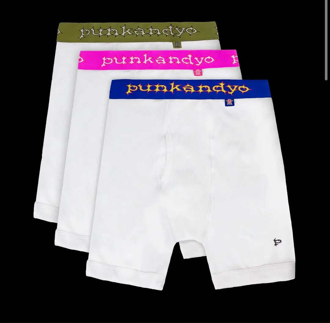 punkandyo ボクサー Lサイズ　1枚 m14147091079_1.jpg?1751696059