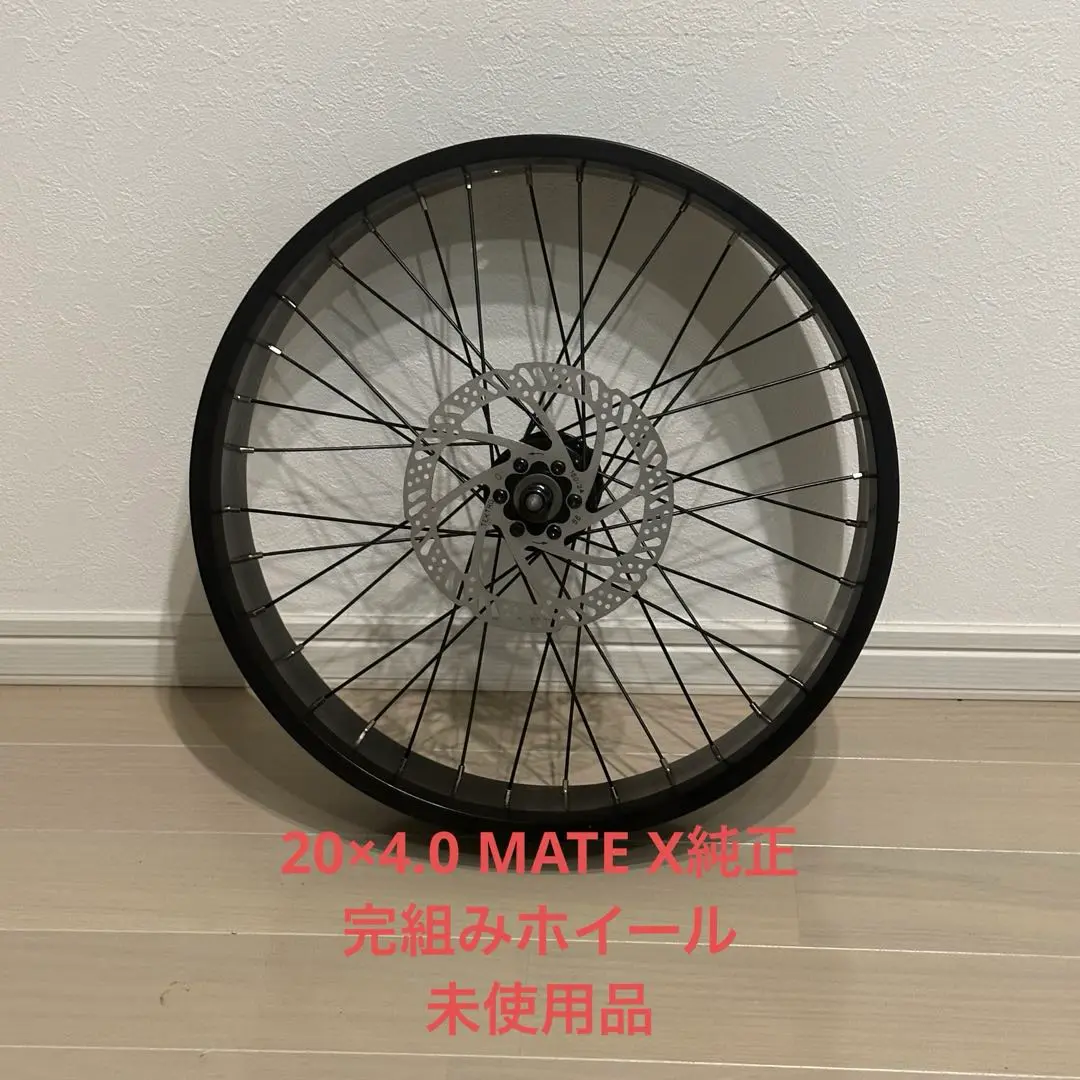 Mate bike x 250 750フロントホイール20x5.0 Mate bike x 250 750フロントホイール20x5.0