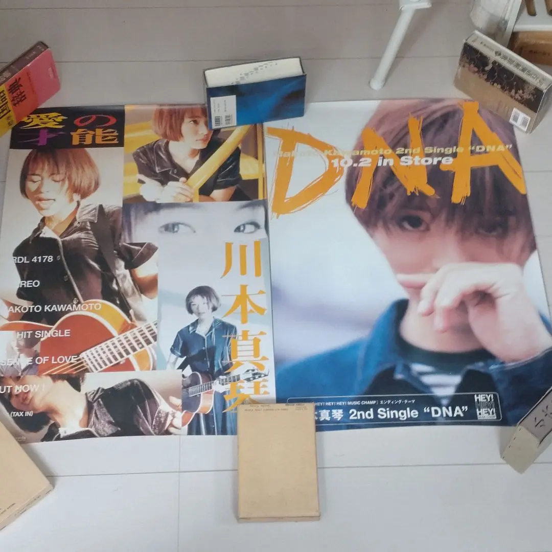川本真琴 ポスター 13枚セット （The Complete Singles
