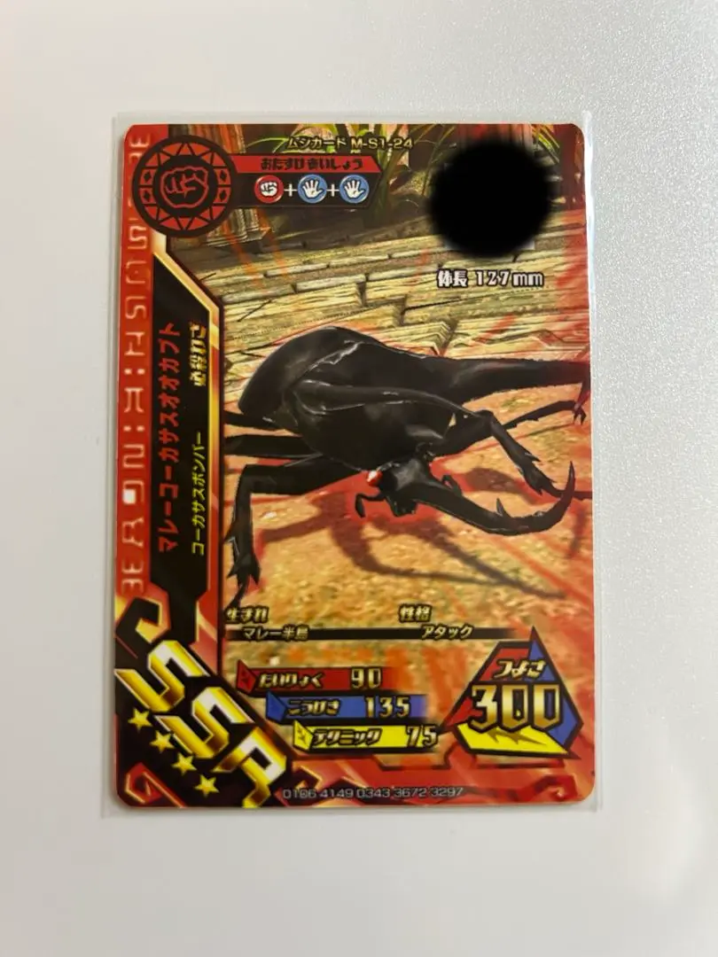 ※大型　マレーコ−カサス　♂野外標本 515rFLiXb4L._AC_SY200_QL15_.jpg