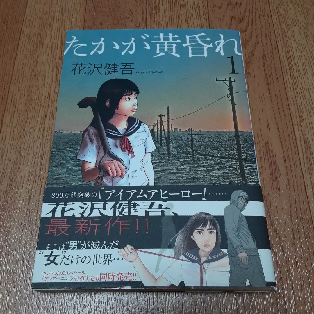 アイアムアヒーロー 初版帯付き全巻セット +たかが黄昏れ 1巻 初版帯付き 2025年最新】たかが黄昏れの人気アイテム - メルカリ