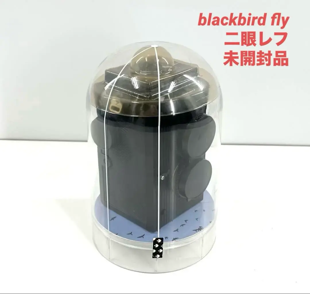 2025年最新】blackbird, flyの人気アイテム - メルカリ