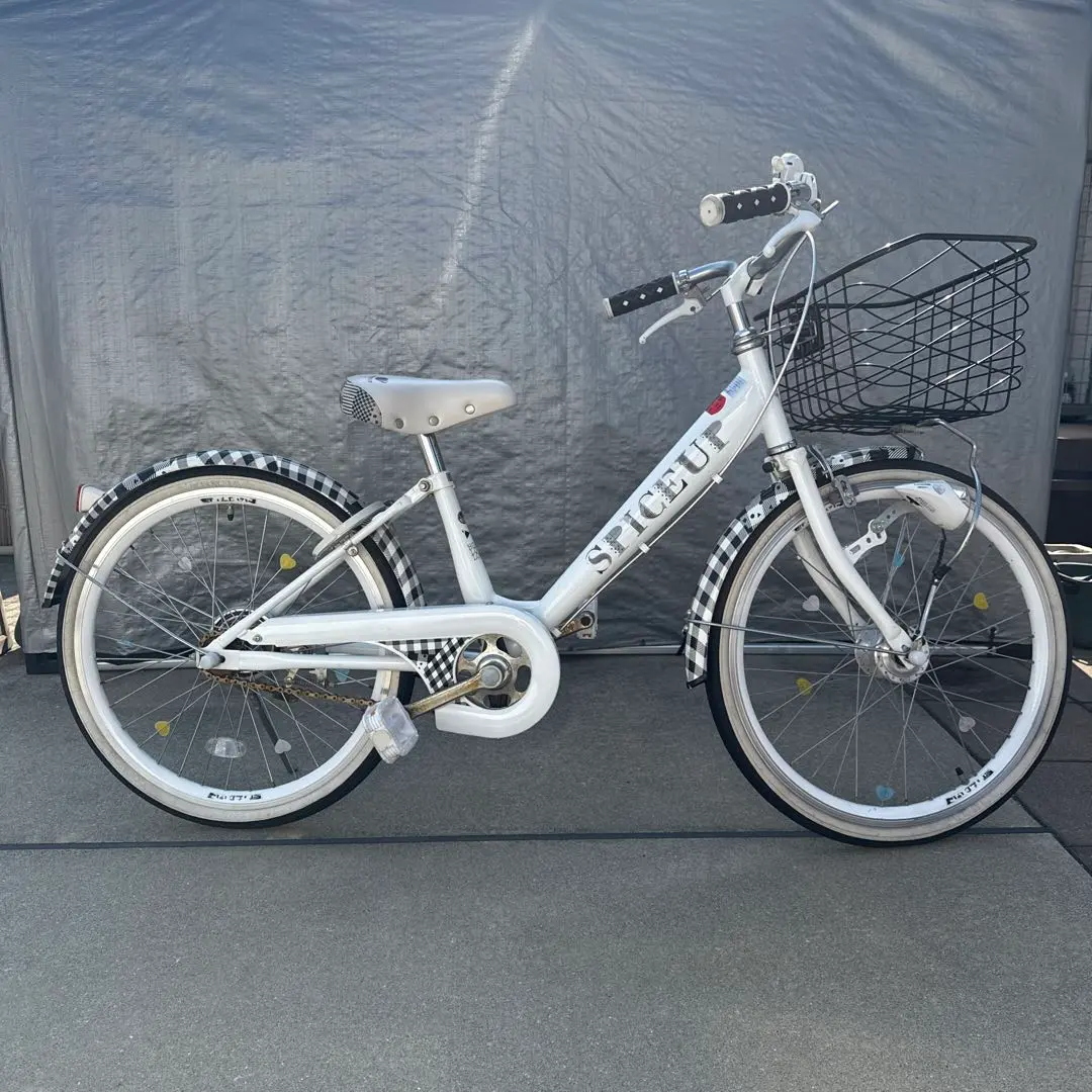 2025年最新】子供用自転車 サカモトテクノ スパイスアップの人気