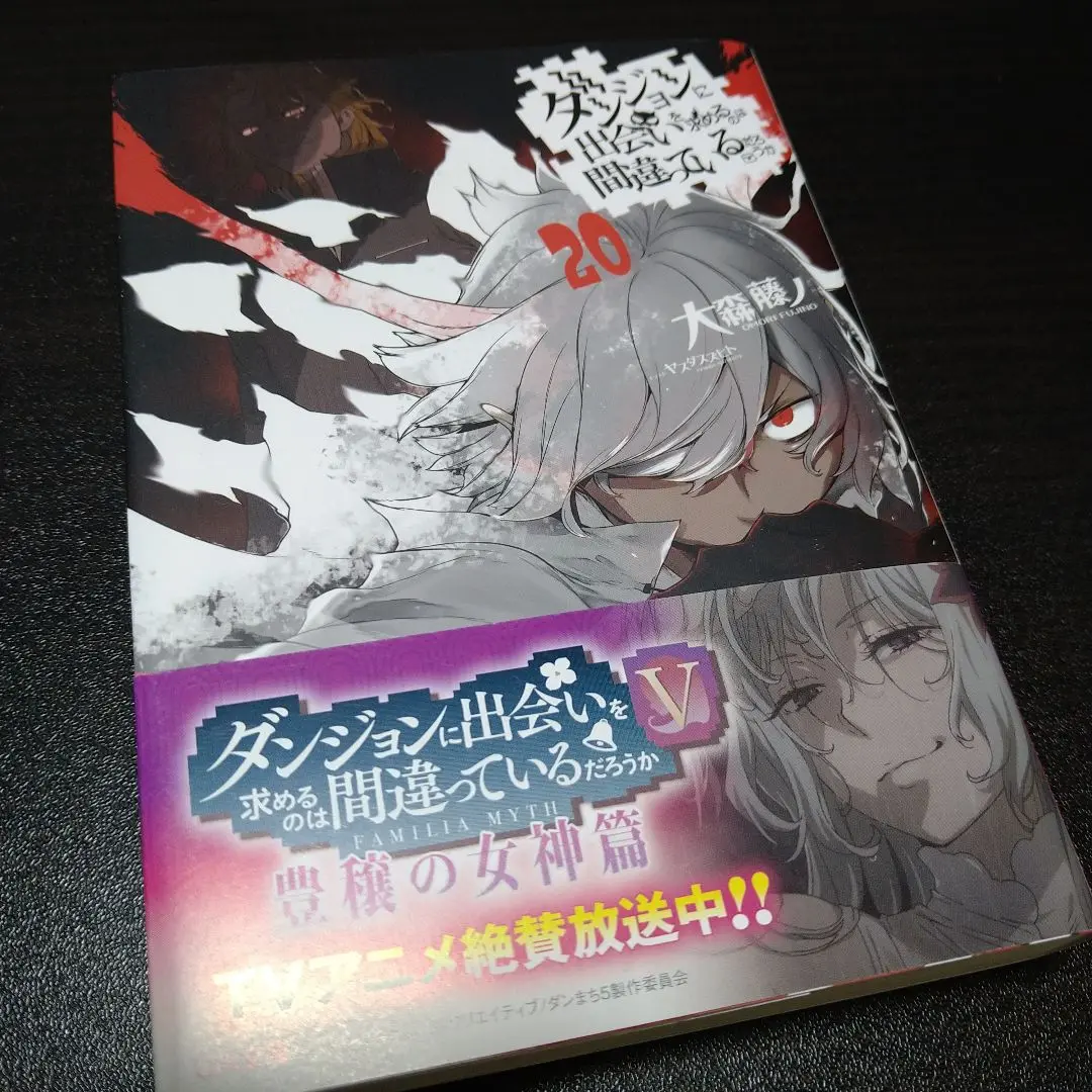 灰と幻想のグリムガル 1〜21巻 21冊セット 灰と幻想のグリムガル level.21 光と闇を切り裂いて征け