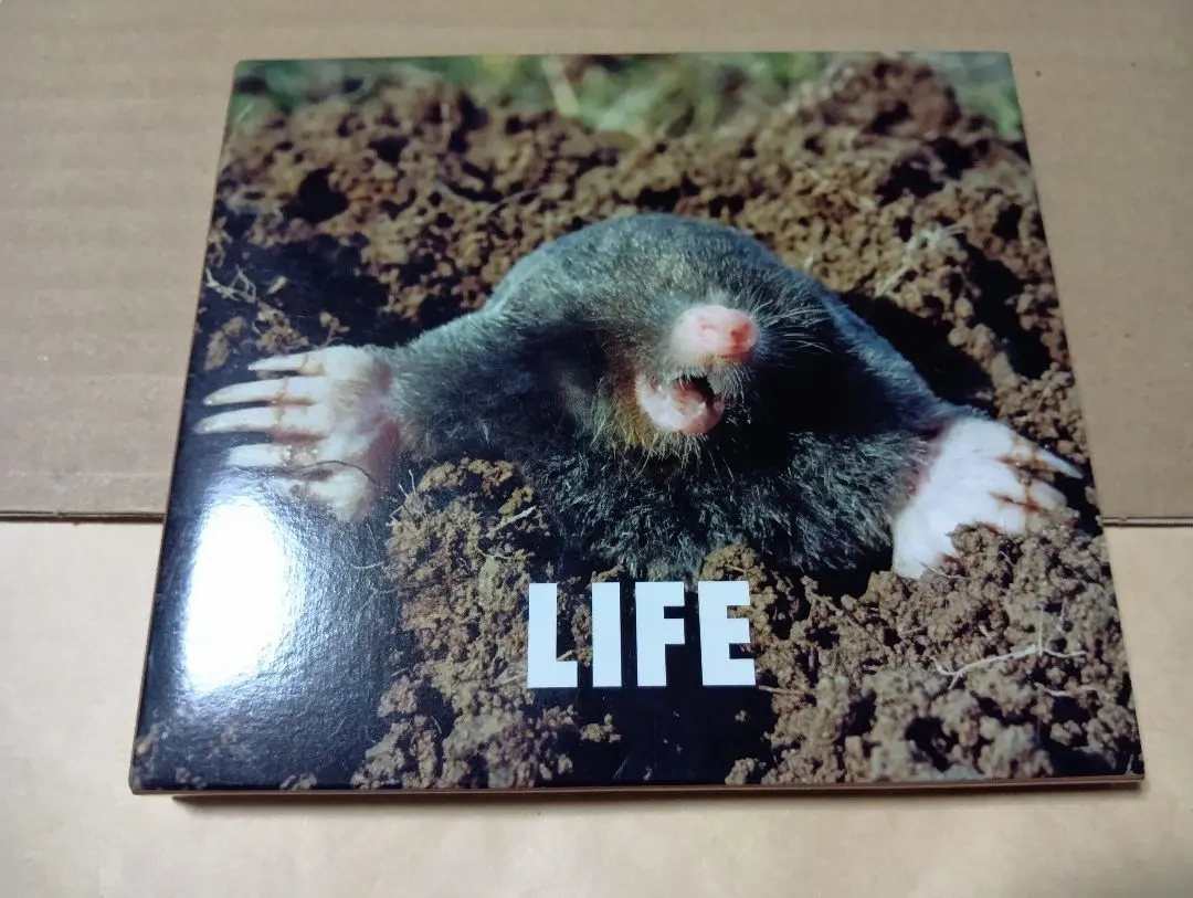 2025年最新】中古 フジファブリック LIFEの人気アイテム - メルカリ