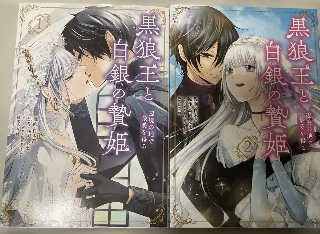 Thumbnail of The Black Wolf King and the Silver Sacrificial Princess: Finding Love in the Borderlands. 1.2