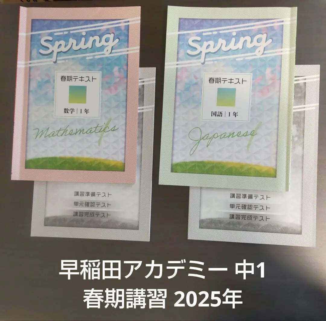2025年最新】早稲アカ 夏期講習 6年の人気アイテム - メルカリ