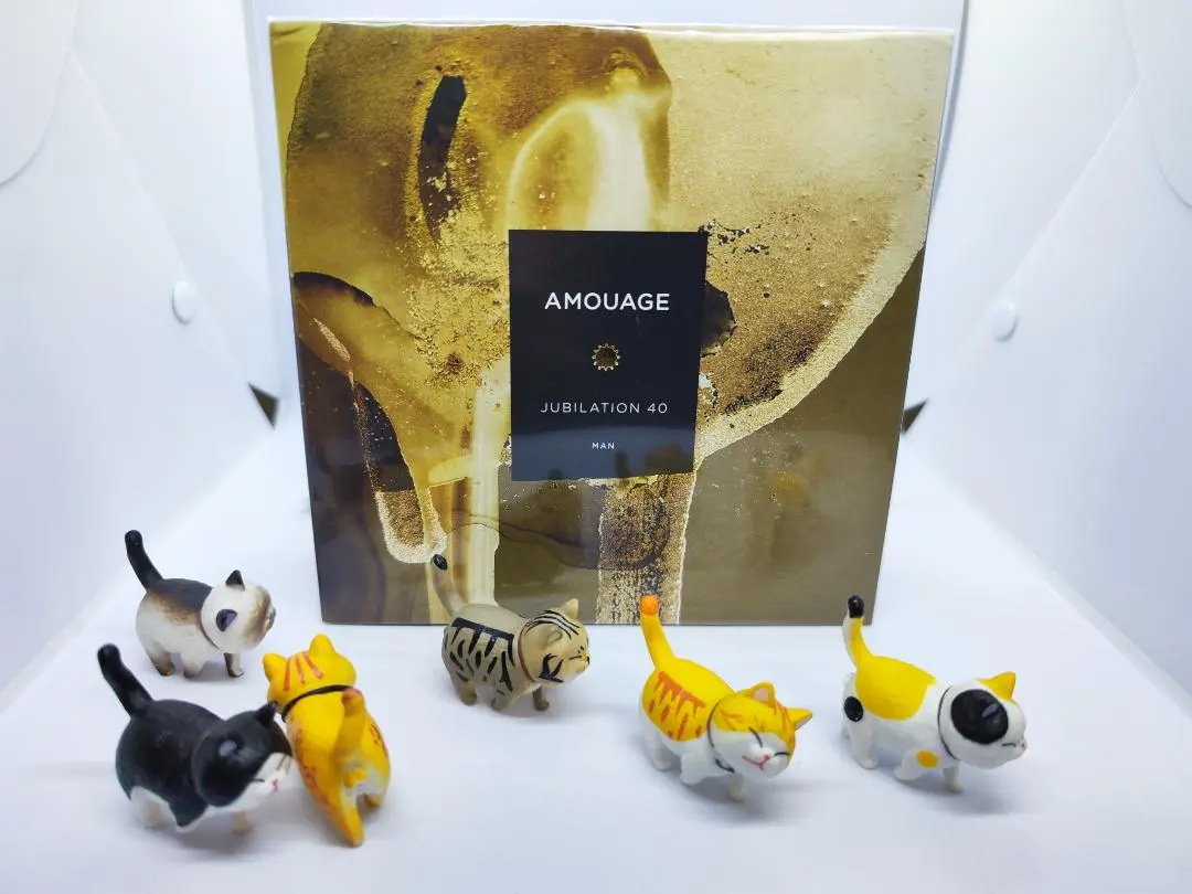 2025年最新】amouage jubilationの人気アイテム - メルカリ