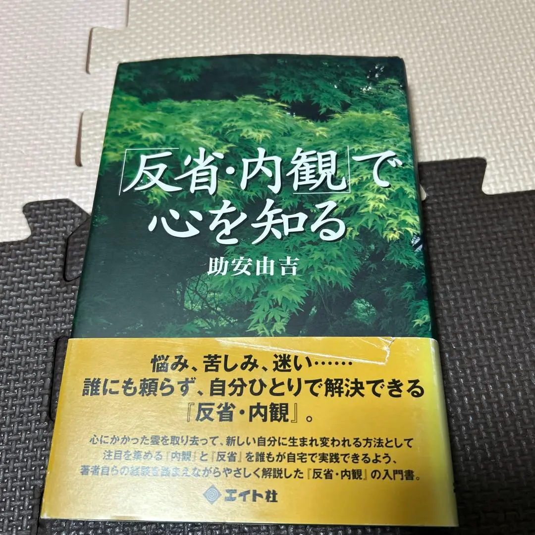 智慧のひびき(エイト社)助安由吉著 智慧のひびき(エイト社)助安由吉著