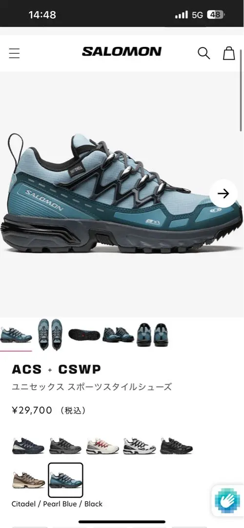 2025年最新】Salomon acs cswpの人気アイテム - メルカリ