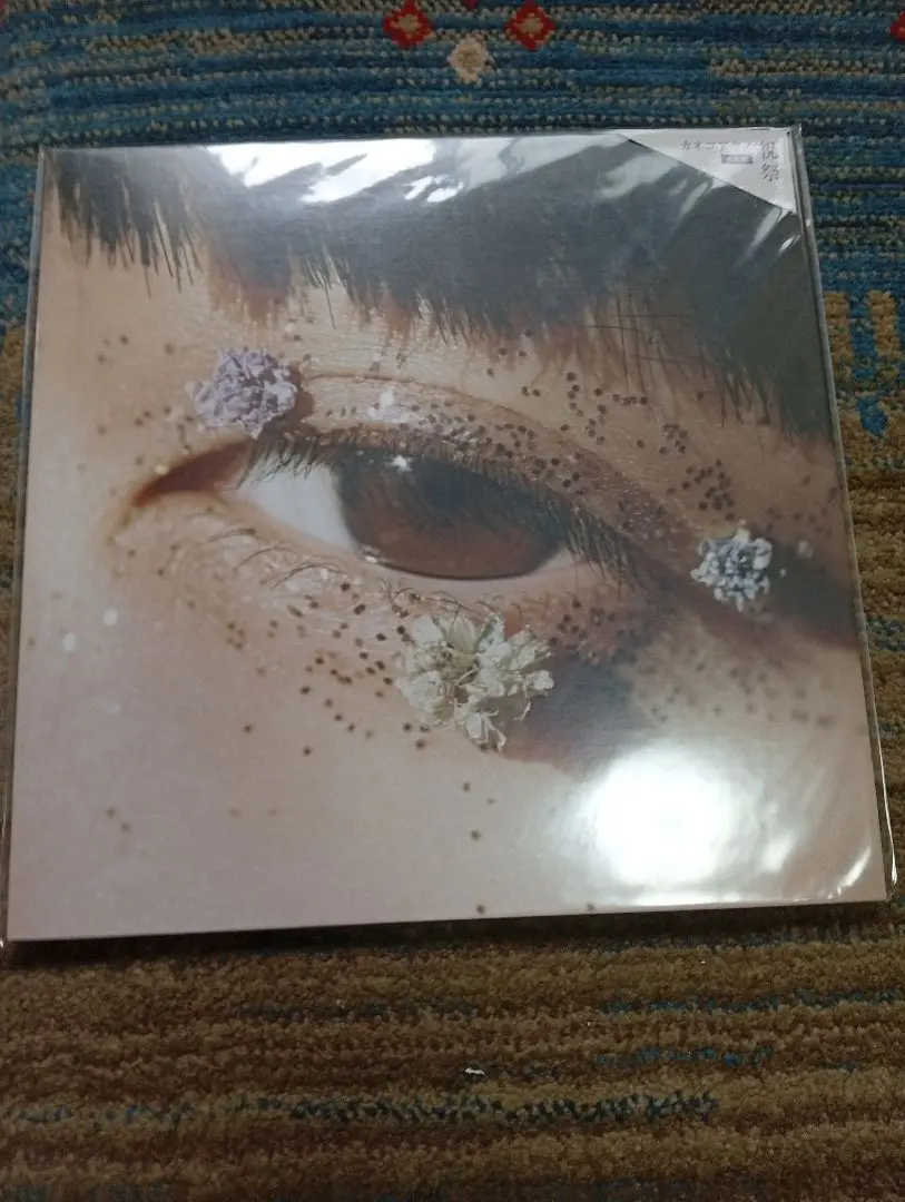 新品未開封 カネコアヤノ アナログ盤LP2枚セット 重量盤 祝祭 燦々 レコード - メルカリ