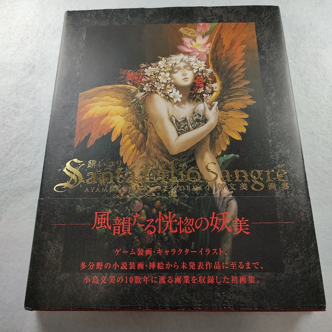 希少　緋いユリ 小島文美画集　帯付き　初版 緋いユリ Santa Lilio Sangre : 小島文美画集 小島文美 飛鳥新社