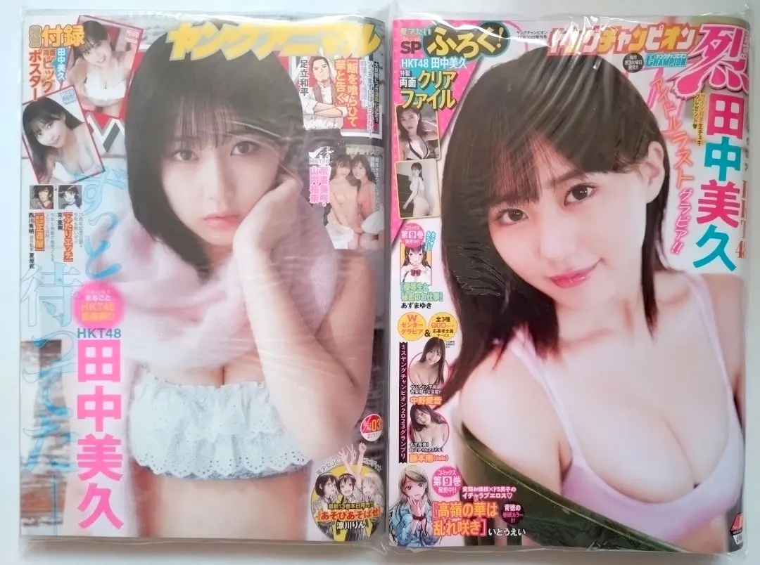 Thumbnail of Miku Tanaka - 2 Books, Excellent Condition - Clear File - Young Animal, Young Champion Retsu