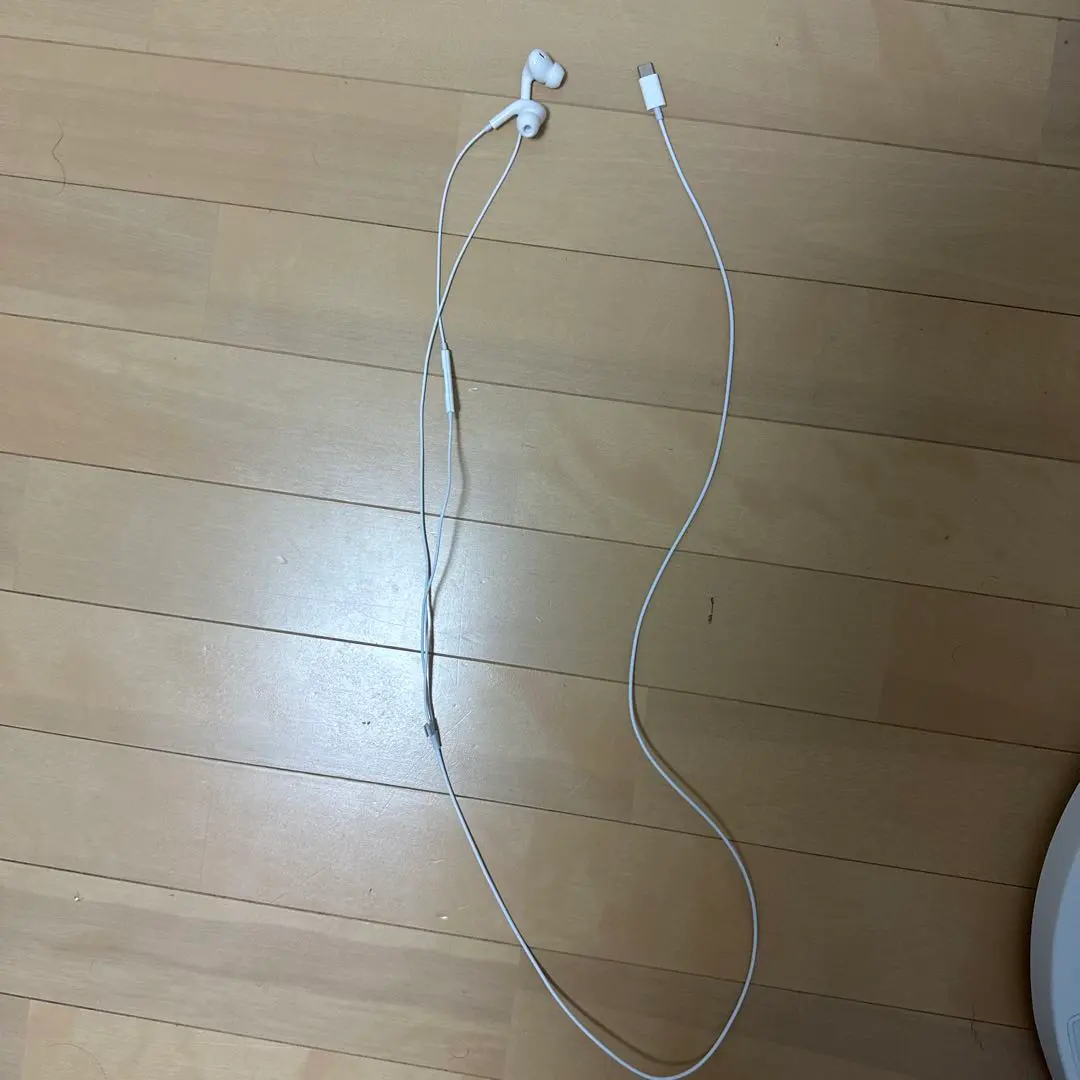Thumbnail of USB-C In-Ear Earphones, White
