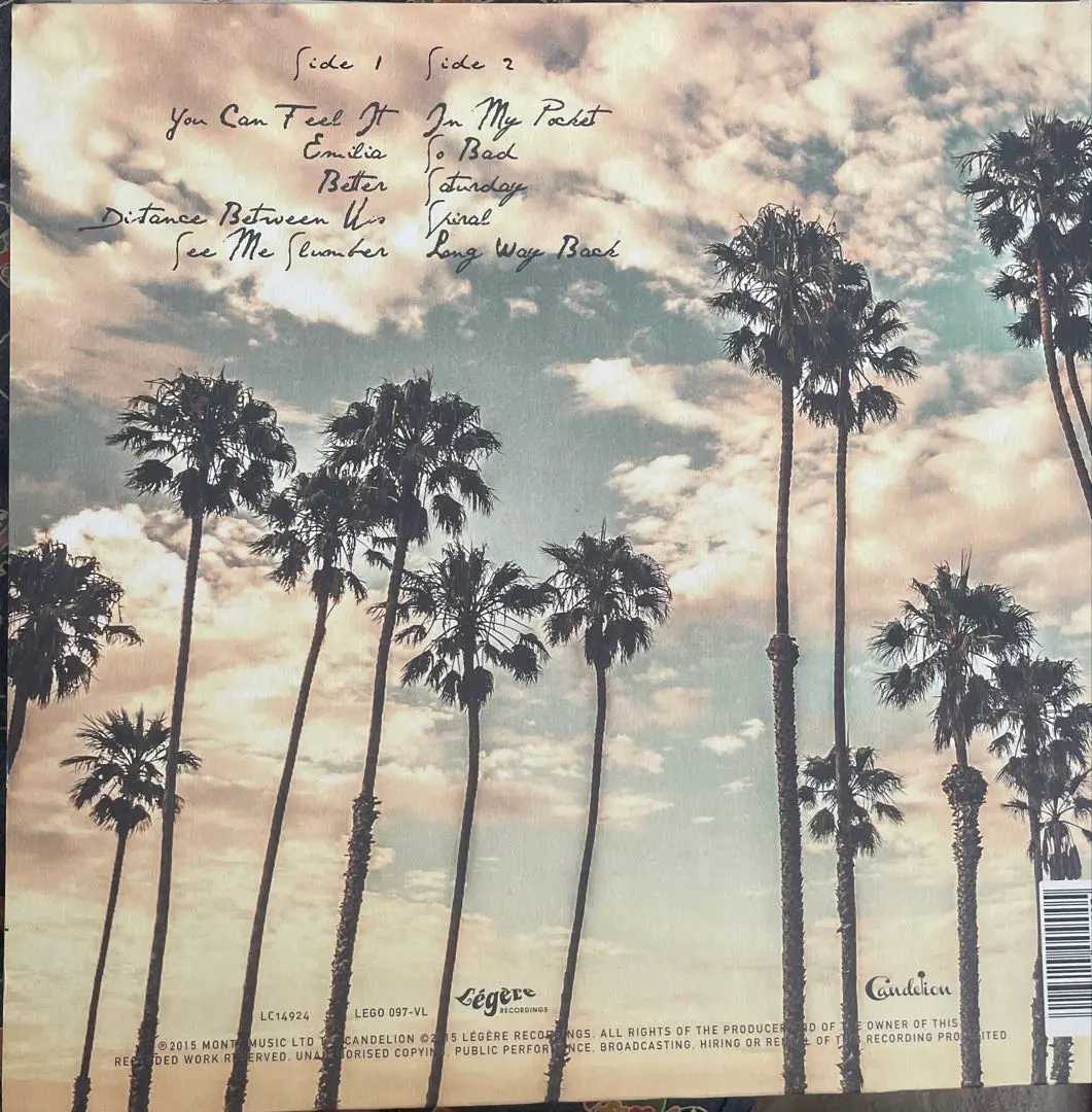 YOUNG GUN SILVER FOX『Pleasure』LP