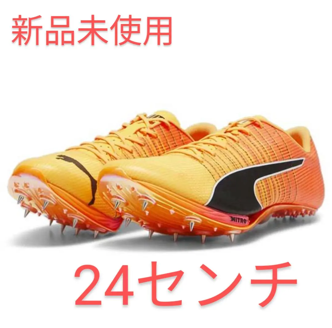 m73979865562_1.jpg?1722519456