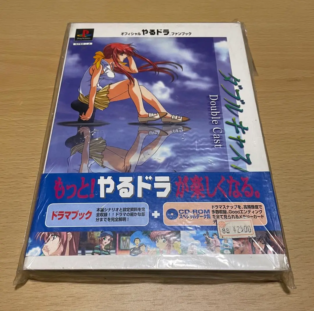 ダブルキャスト　販促ポスター 2枚セット やるドラ ダブルキャスト 販促 ポスター やるドラ ポスター