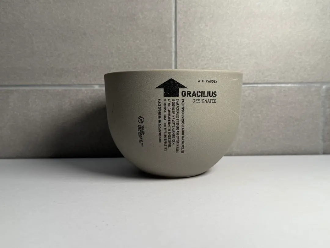 2025年最新】青坊主鉢の人気アイテム - メルカリ