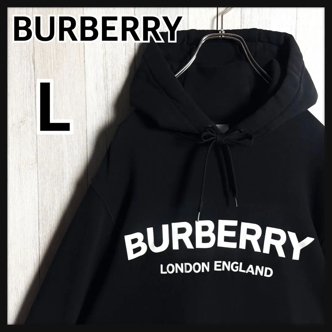 2025年最新】BURBERRY 柄・デザイン：プリント(ロゴなど) メンズ