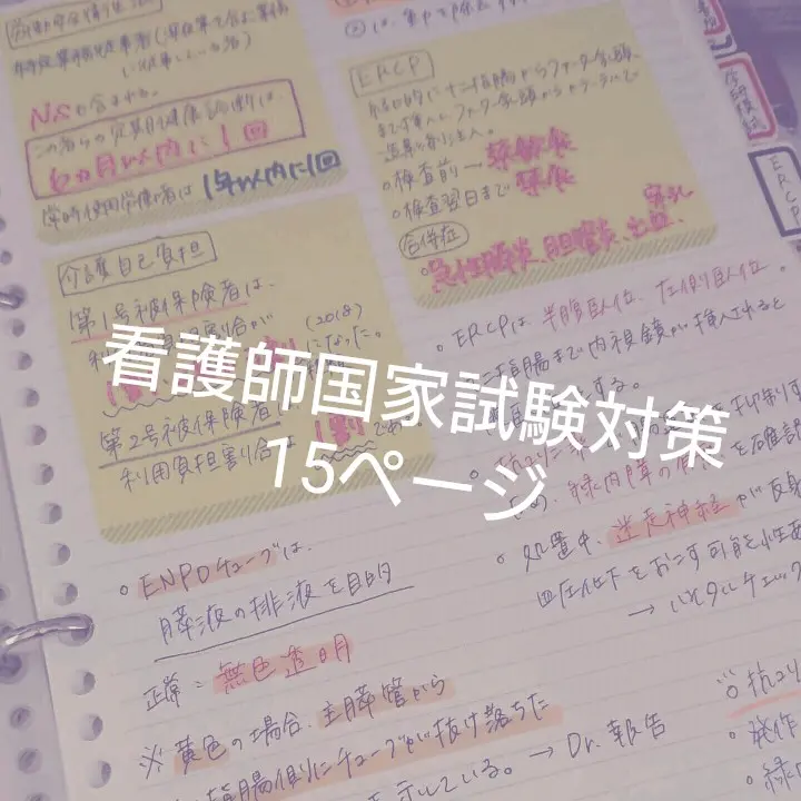 2025年最新】看護師国家試験合格ノートの人気アイテム - メルカリ