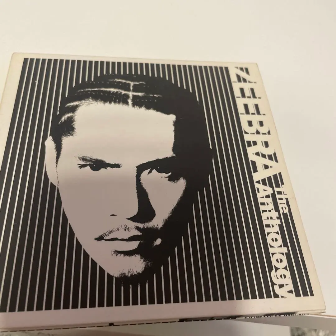 ZEEBRA NUMBER ONE FAN レア盤 ZEEBRA NUMBER ONE FAN レア盤