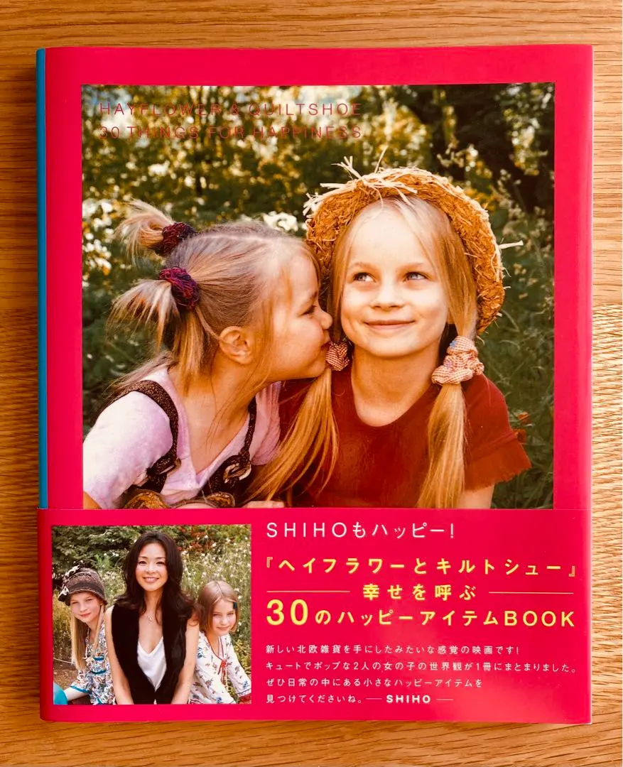 「やかまし村」「ロッタちゃん」「ヘイフラワーとキルトシュー」他 DVD 北欧 やかまし村」「ロッタちゃん」「ヘイフラワーとキルトシュー」他