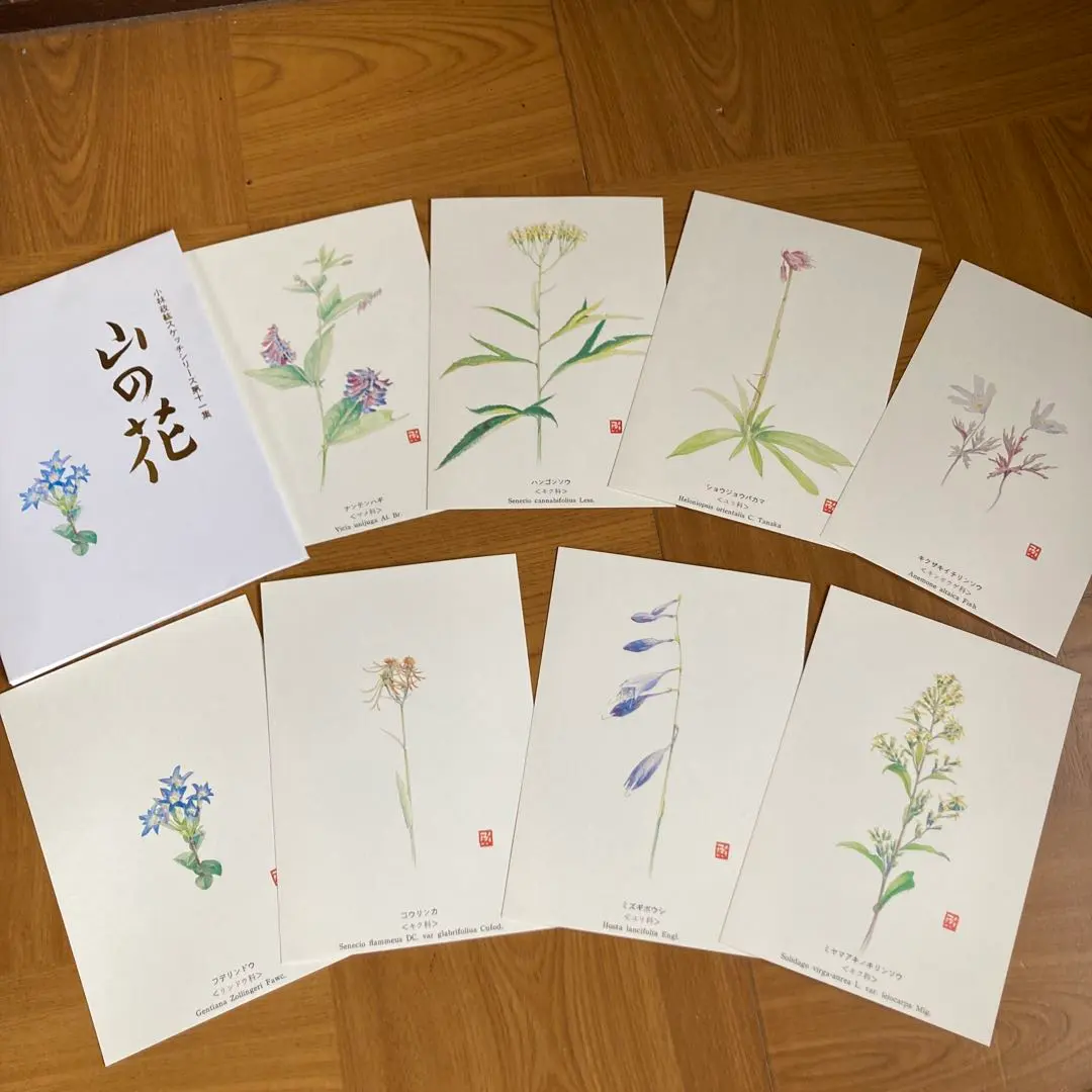 Thumbnail of Masahiro Kobayashi Sketch Series Volume 11: "Mountain Flowers" Postcard Set (8 cards)