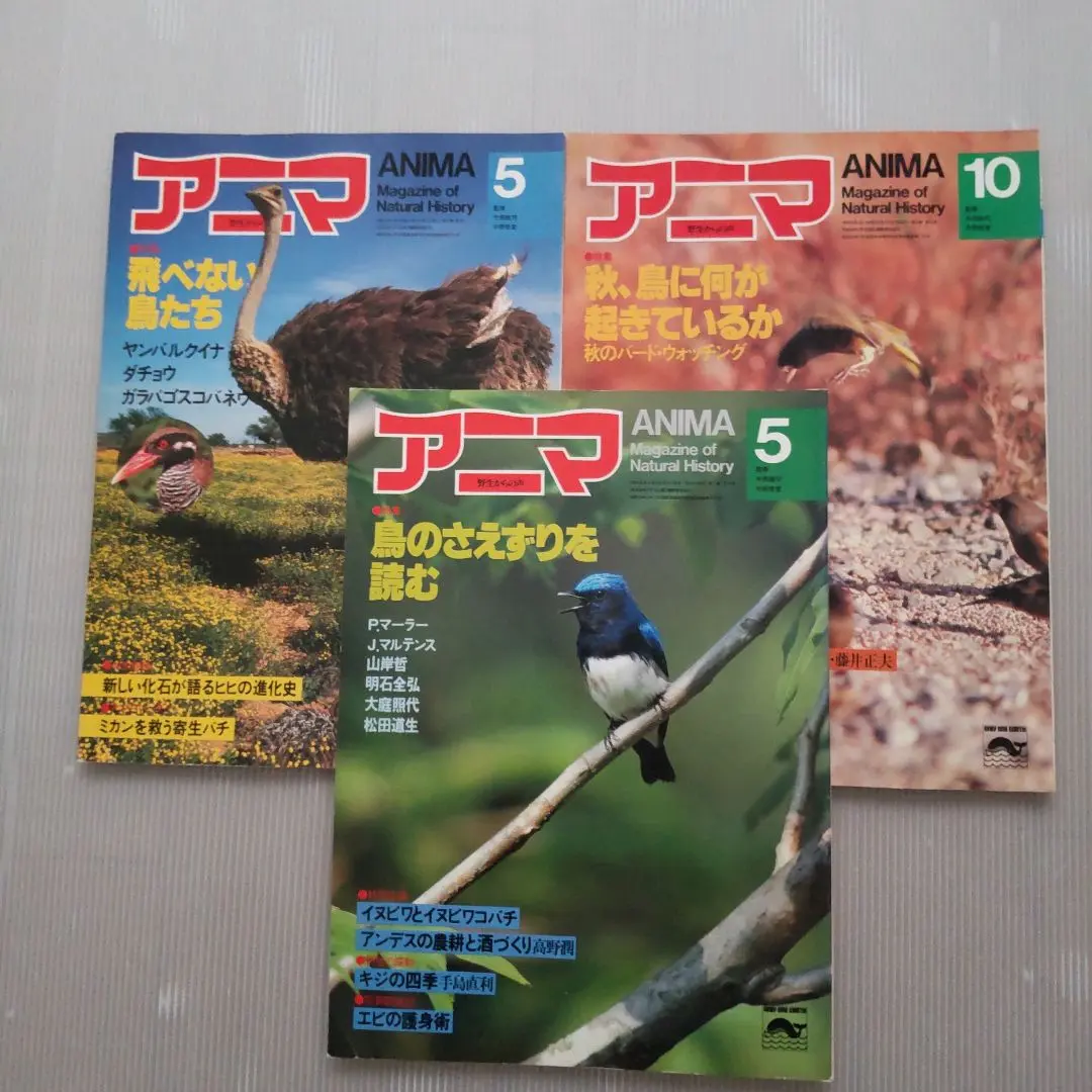 アニマANIMA野性からの声50号から169号までの77冊平凡社伝説の自然情報誌 アニマANIMA野性からの声50号から169号までの77冊平凡社伝説の