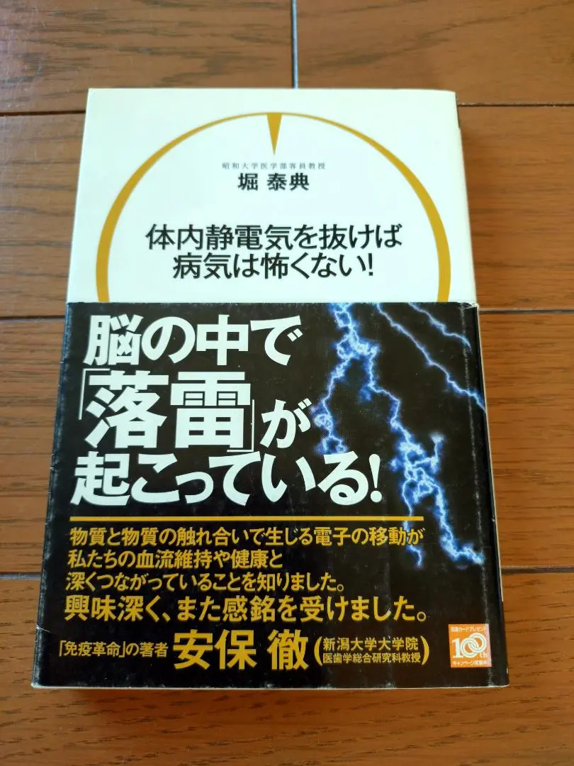 2025年最新】体内静電気を抜けば病気は怖くないの人気アイテム