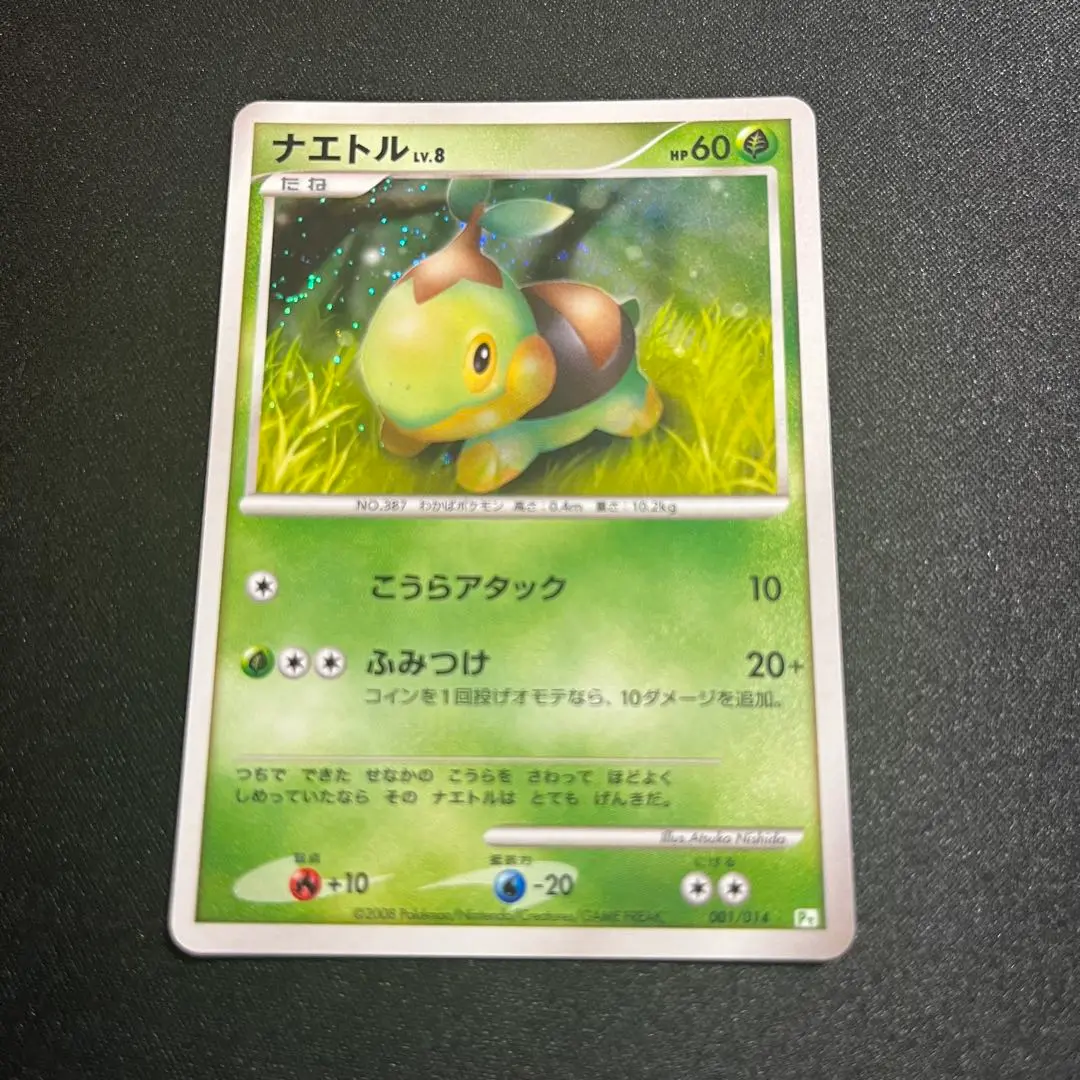 ピカチュウlv11 ヒコザルlv11ポッチャマlv13 ナエトルlv8 m74804423348_1.jpg?1724921858