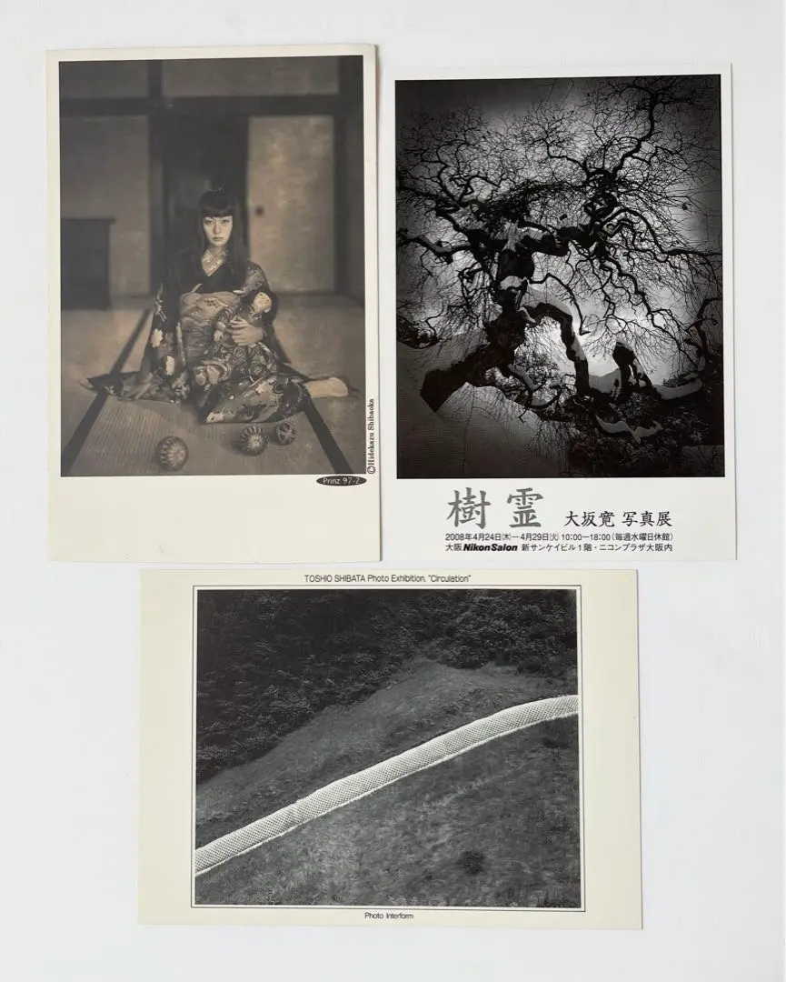 【For Grey:Toshio Shibata】柴田敏雄　サイン入　未開封品 2025年最新】柴田_敏雄の人気アイテム - メルカリ